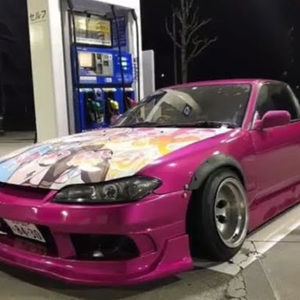 Meet your Posher, Maddox